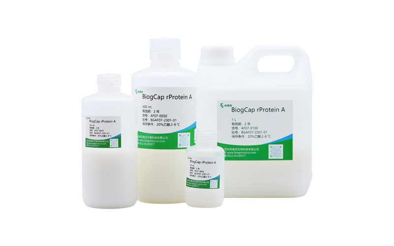 BiogCap rProteinA