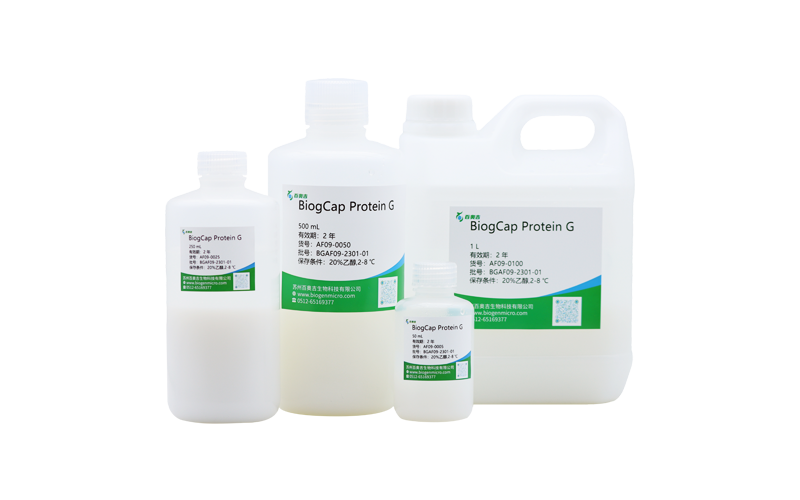BiogCap ProteinG