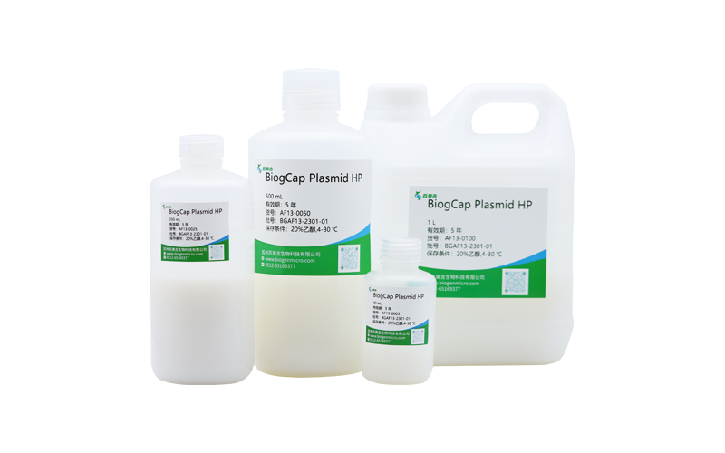 BiogCap Plasmid HP