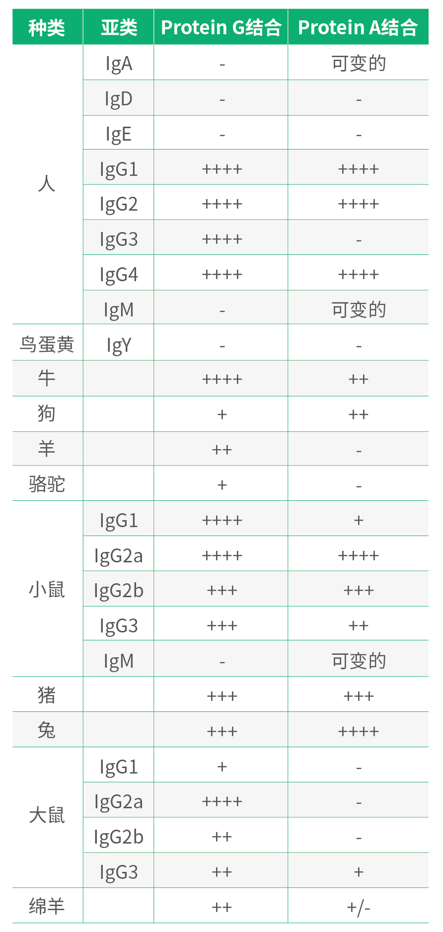 填料結合力.png